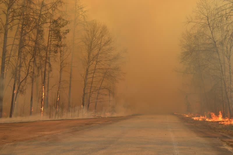 A view shows burning trees and a road covered in heavy smoke in the exclusion zone around the Chernobyl nuclear power plant