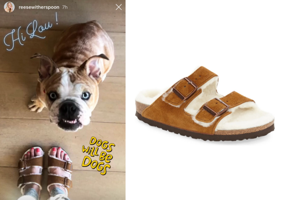 Reese Witherspoon shared a snap of her dog Lou and her Arizona Genuine Shearling Lined Slide Sandals. Images via Instagram/ReeseWitherspoon, Nordstrom.