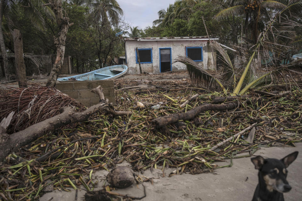 Debris surrounds a storm-damaged home caused by flooding driven by a Gulf of Mexico sea-level rise, in the coastal community El Bosque, in the state of Tabasco, Mexico, Wednesday, Nov. 29, 2023. (AP Photo/Felix Marquez)