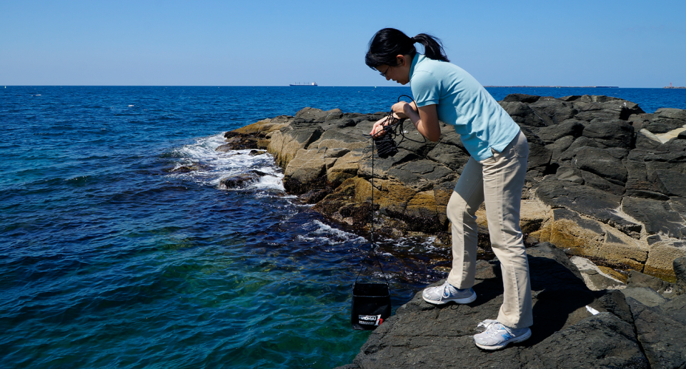 Palaeontologist Kyoko Hagino pulling the organism from the ocean.