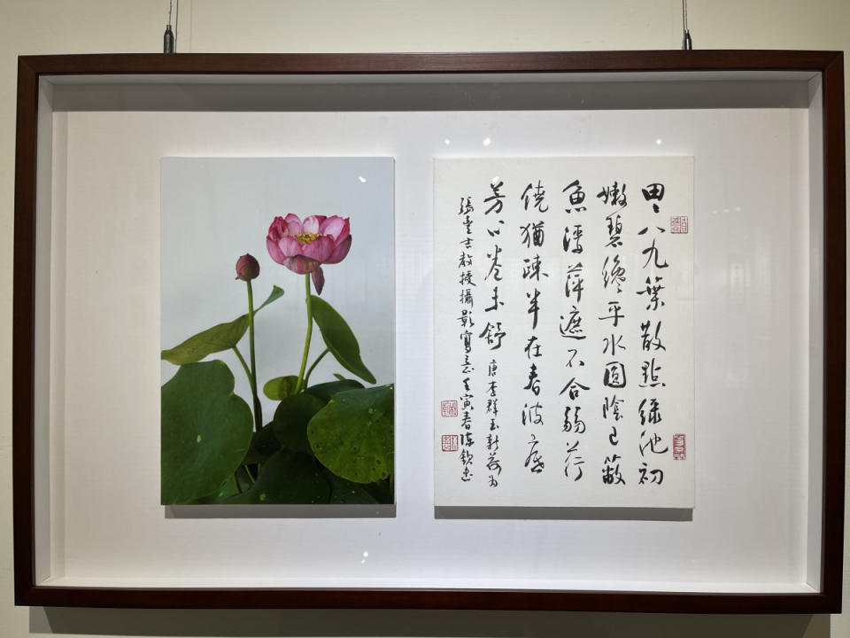 圖／彰化生活美學館提供