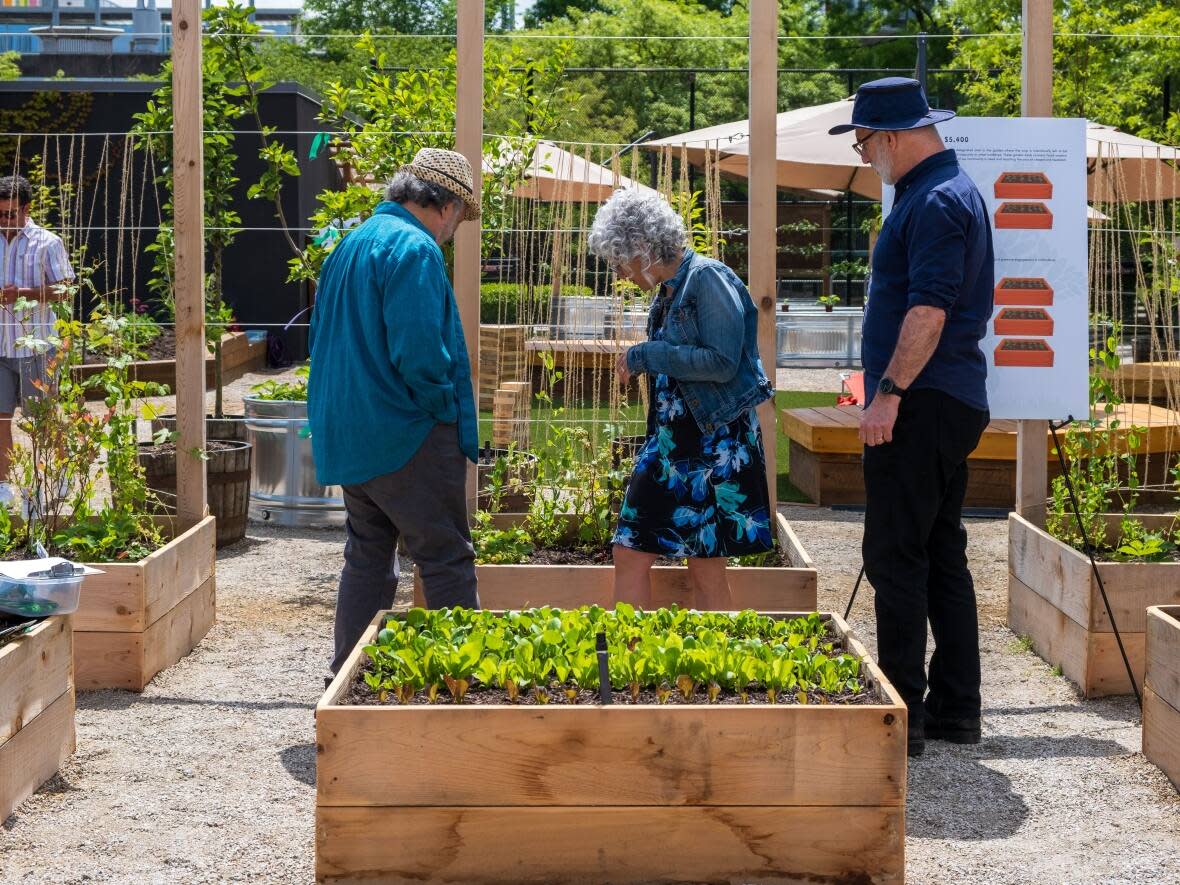 Guests at the opening ceremony for the Vancouver Jewish Community Garden explore the space which organizers say is the first rooftop community garden in the city.  (Tybie Lipetz/Mindseye Photography - image credit)