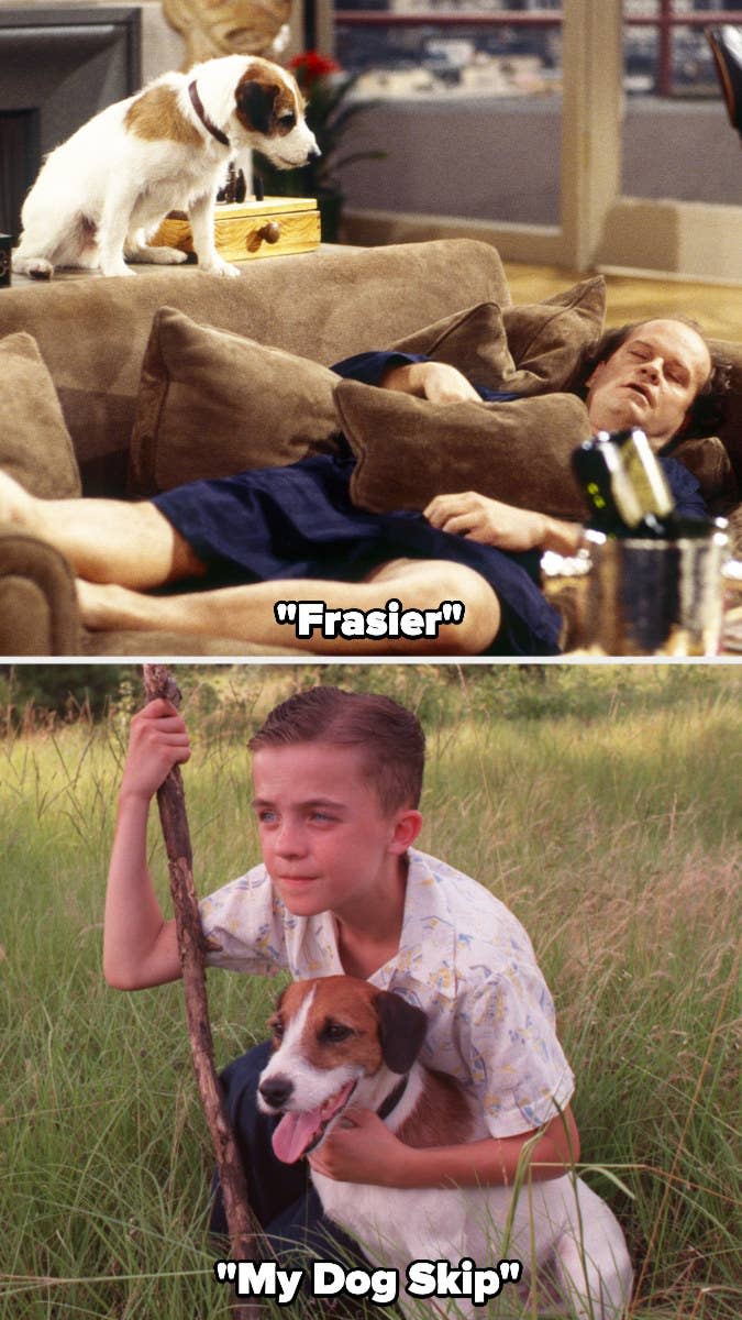 Moose acting in "Frasier" and "My Dog Skip"