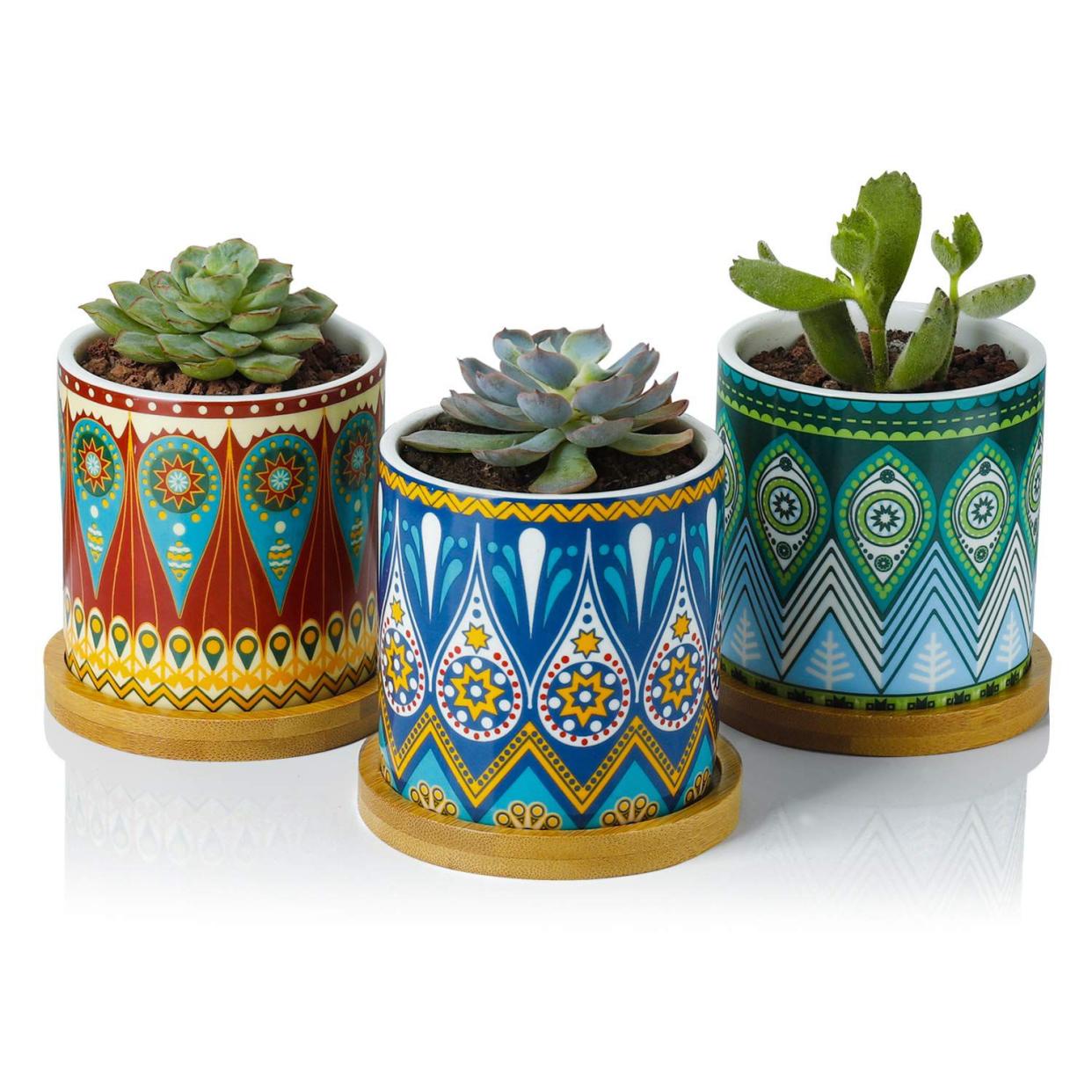 Greenaholics Succulent Plant Pots