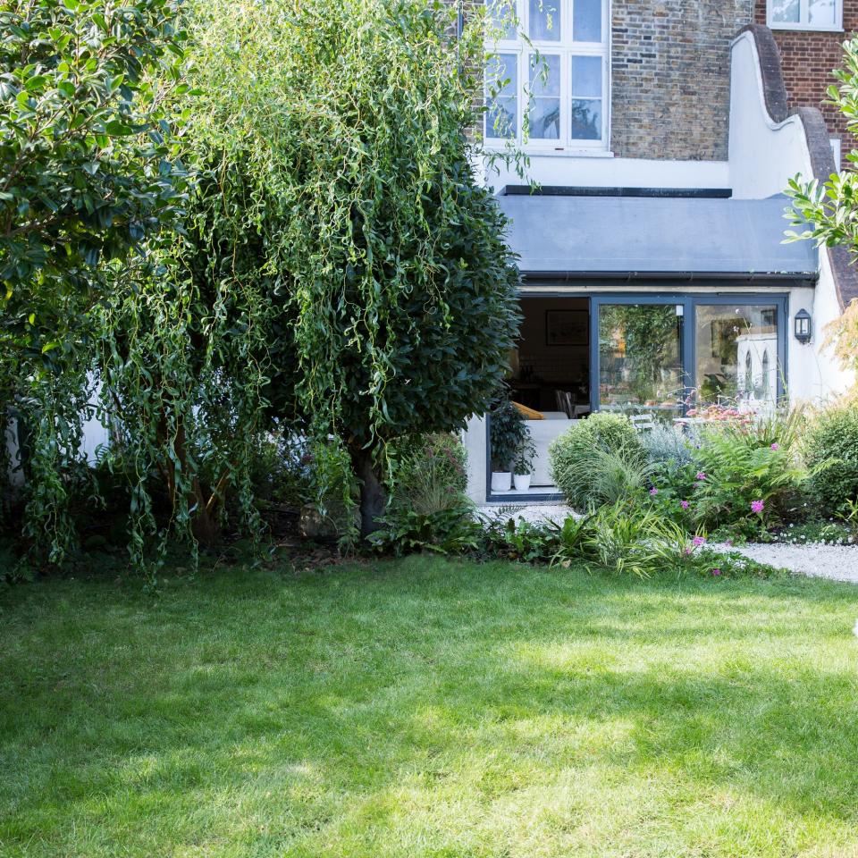 A back garden with a lawn and tress