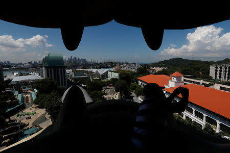 A view of Sentosa Island through the mouth of the Merlion statue in Singapore June 4, 2018. REUTERS/Edgar Su