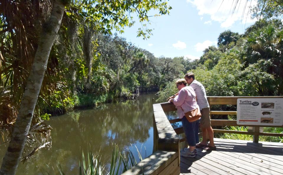 Take a free ranger-led tour through Turkey Creek Sanctuary in Palm Bay on the first and third Sundays of each month.