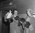 <p>Tony Curtis and Janet Leigh drummed up plenty of publicity on the platform at New York's Grand Central Terminal with their arrival home from filming <em>Houdini </em>in California. The married couple surprised their black Poodle, aptly named Houdini, by pulling a live rabbit from a top hat. </p>