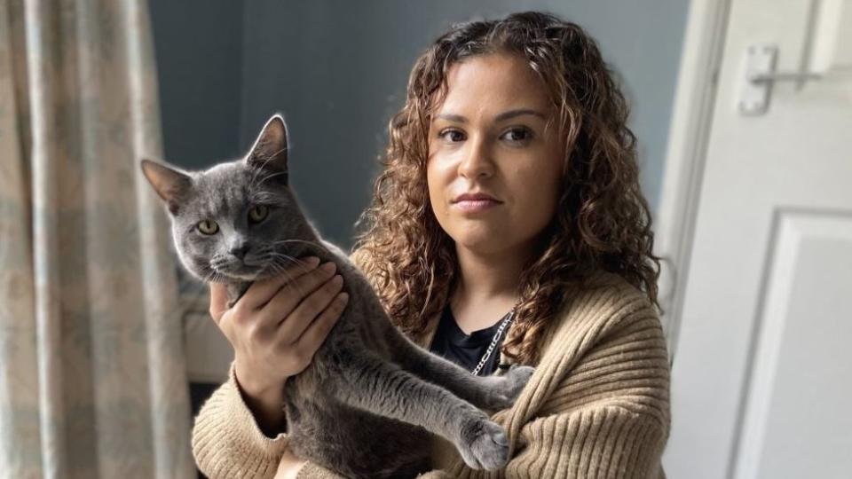 Woman calls for law change after cats die on road