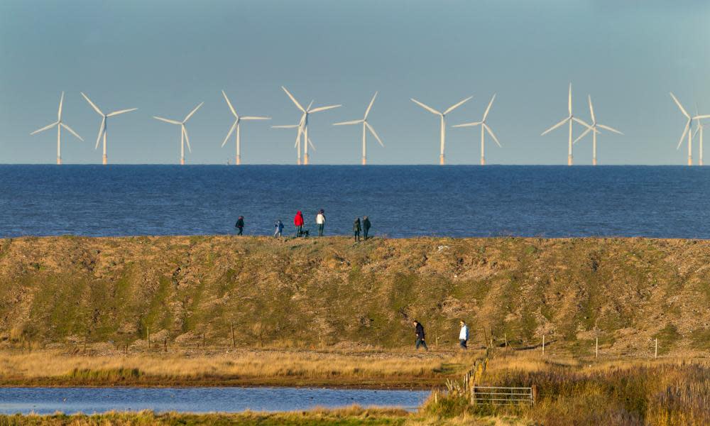 <span>Photograph: Nature Picture Library/Alamy</span>