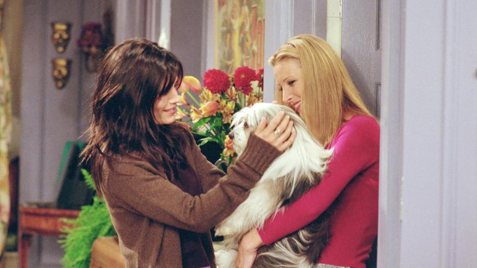 friends thanksgiving episodes the one where chandler doesn't like dogs