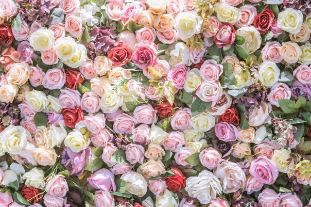 17 Rose Color Meanings to Help You Choose the Perfect Bouquet in 2024