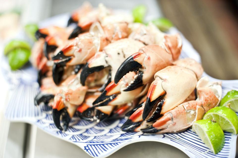 stone crab