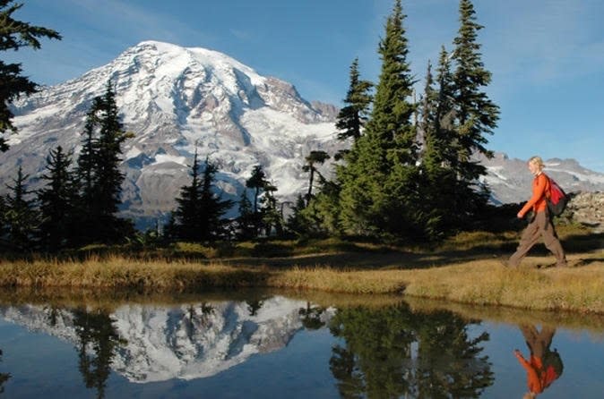 Mt. Rainier Small-Group Tour, Seattle, Washington