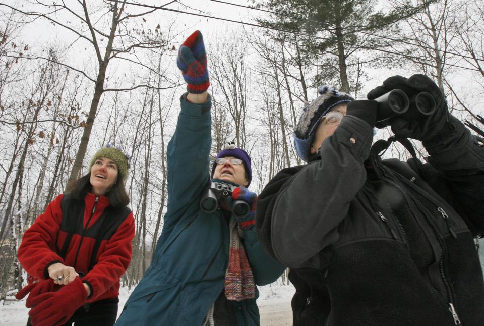 FILE - In this Dec. 19, 2008, file photo, Jeannie Elias, left, Mary Spencer, and Alison Wagner look for birds in Fayston, Vt., as they take part in The National Audubon Society's annual Christmas Bird Count. It's been 120 years since New York ornithologist Frank Chapman launched his Christmas Bird Count as a bold new alternative to what had been a longtime Christmas tradition of hunting birds. And the annual count continues, stronger and more important than ever. (AP Photo/Toby Talbot, File)