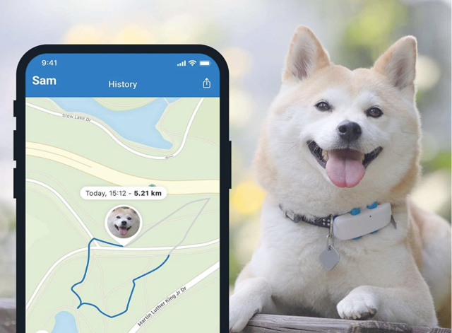 Tractive GPS perros, Producto del Año, Localización en tiempo real