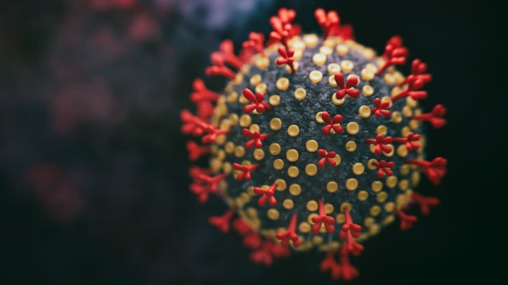  illustration of one coronavirus particle 