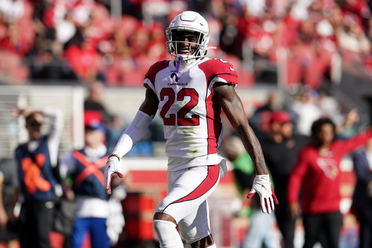 NFL playoff picture: Arizona Cardinals, Cincinnati Bengals top seeds