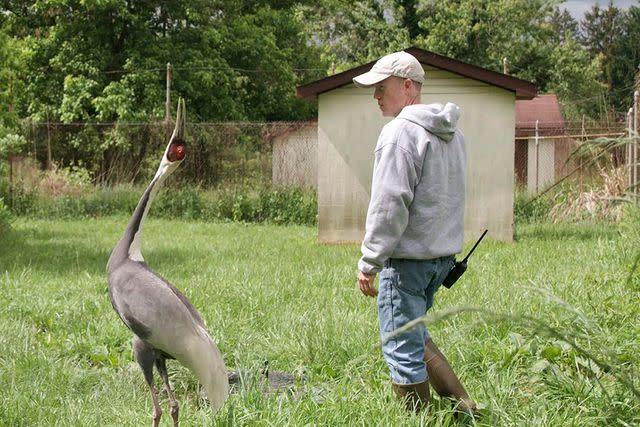 <p>Roshan Patel, Smithsonian's National Zoo and Conservation Biology Institute</p> Walnut and Chris Crowe.