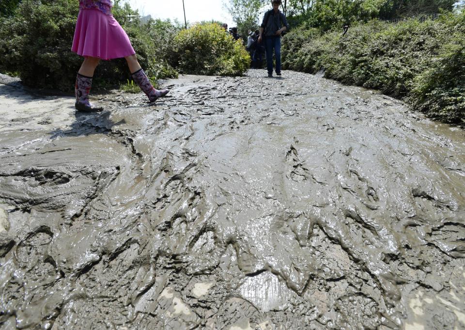 FILE - In this June, 7, 2013 file photo people walk on a street that is covered from mud in the zoo in Prague, Czech Republic. More than a decade after many of its animals drowned, the Prague Zoo is counting the cost of yet another devastating flood. In 2002, more than 100 animals died. This time, only a handful of animals were swept away and an army of volunteers are making sure the hundreds that have been evacuated return home as soon as possible. (AP Photo/CTK, Roman Vondrous, File) SLOVAKIA OUT