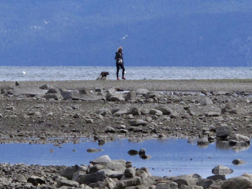 A woman walks with her dog on the dry lake bed that extends 200 yards from Lake Tahoe's normal shoreline Wednesday, Oct. 20, 2021 at Tahoe City, Calif. Drought fueled by climate change has dropped Lake Tahoe below its natural rim and halted flows into the Truckee River, an historically cyclical event that's occurring sooner and more often than it used to _ raising fears about what might be in store for the famed alpine lake. (AP Photo/Scott Sonner).