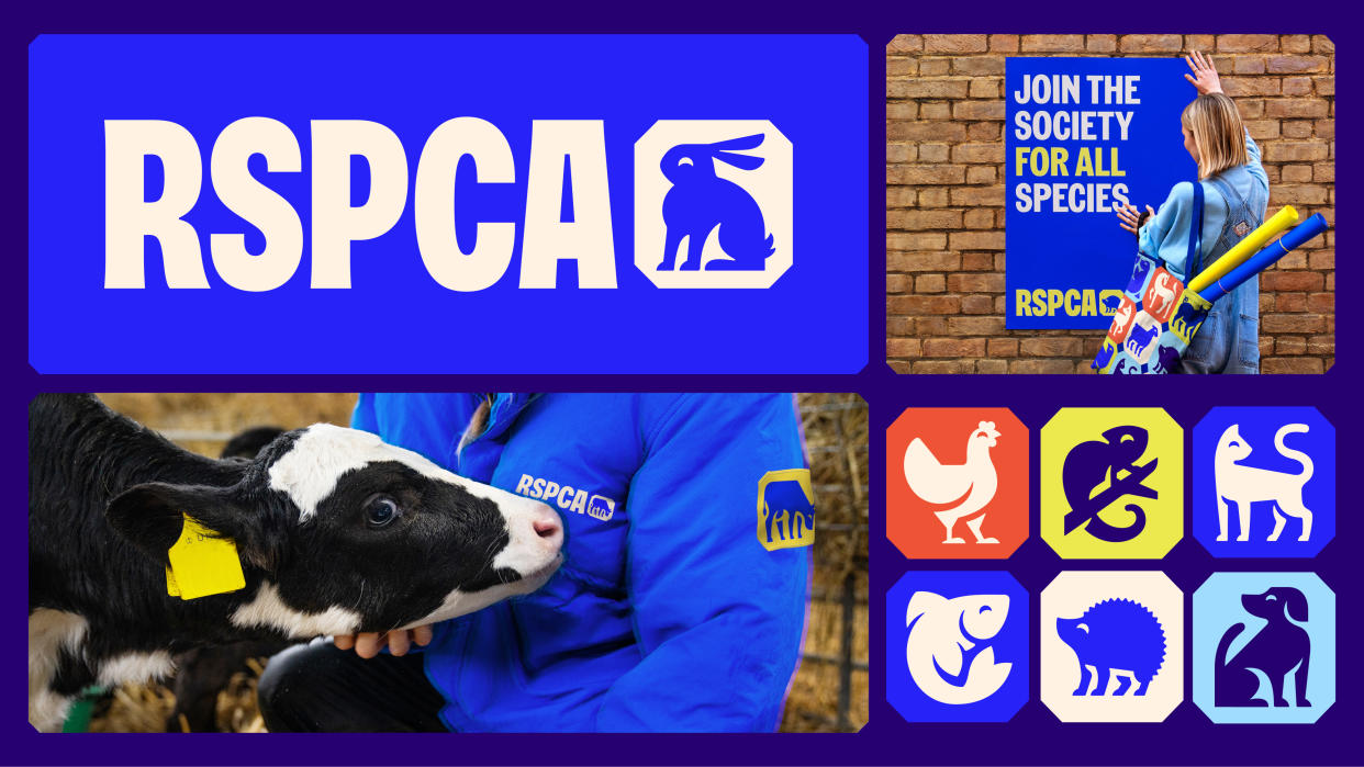  Selection of branding assets for RSCPA, including logo, animal illustrations and typography. 
