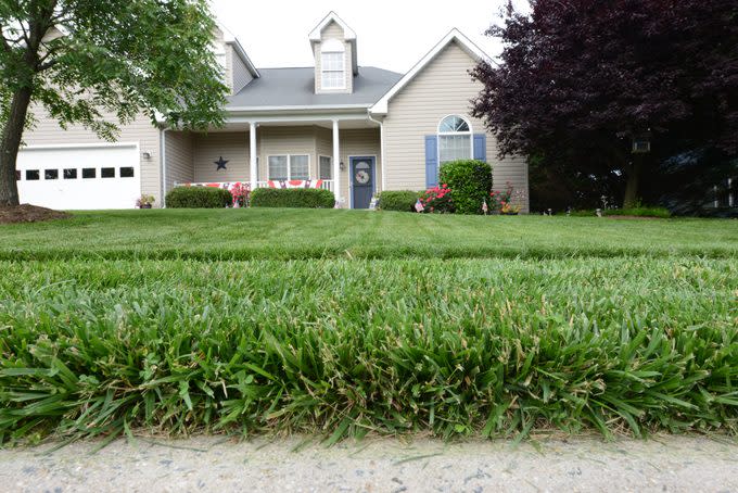 Close up of grass in front yard of house