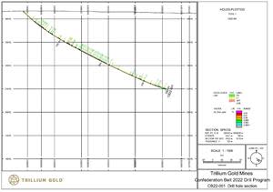 Section for drill hole CB22-001 showing lithology and assays data filtered to >0.005 g/t Au.