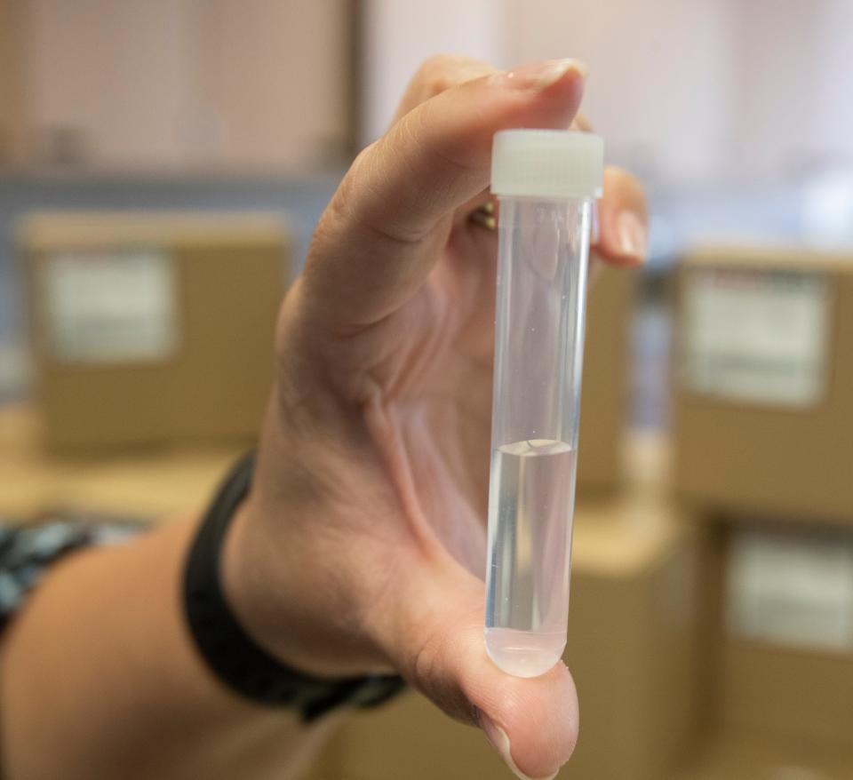 Victoria Domingo, HealthCare assistant administrative manager at the County of Riverside Health Clinic in Indio, arranges boxes containing 50 COVID-19 tests on Monday July 6, 2020.