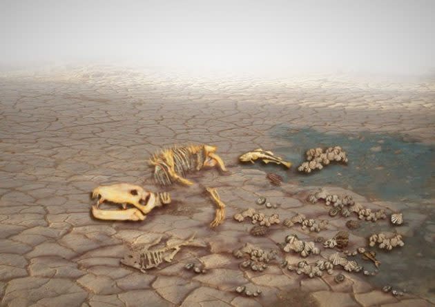 Permian-Triassic extinction