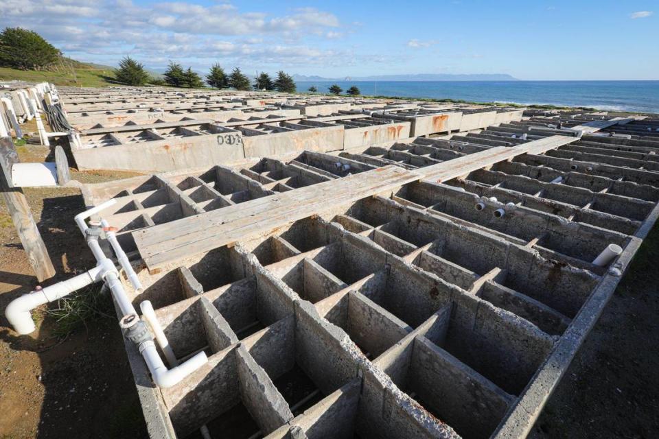 The concrete tanks at the former abalone farm north of Cayucos, seen here on Feb. 6, 2023, have been dry and unused since the facility shut down in 2020. But they could become a center for sustainable aquaculture under the plans for the Harmony Coast Aquaculture Institute.