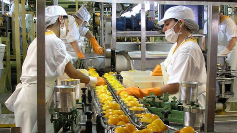 Las mujeres le dan cara a la industria alimentaria