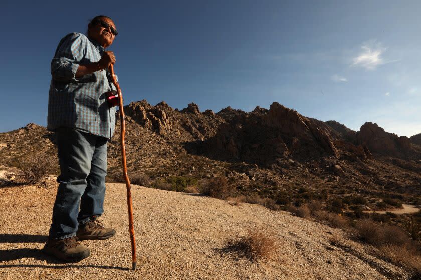 SEARCHLIGHT, NEVADA - AUGUST 1, 2022 - - "This is an ancient place that is still very much alive," said Paul Jackson, an artist and spokesman for the Fort Mojave Indian Tribe, against a backdrop of Spirit Mountain or Avi Kwa Ame just south of Searchlight, Nevada on August 1, 2022. "When we come here we feel a spirit. We feel the plants. The rocks. We're all one. This is who we are," he concluded. Jackson is among descendants of the region's first settlers. Here, his ancestors and those of other tribes adapted to life in the hostile desert wilderness with a special relationship with the mountain. Members of the Fort Mohave tribe hope that Spirit Mountain is renamed Avi Kwa Ame National Monument. It is listed on the United States National Register of Historic Places as a sacred place to Native American tribes in Southern Nevada. (Genaro Molina / Los Angeles Times)