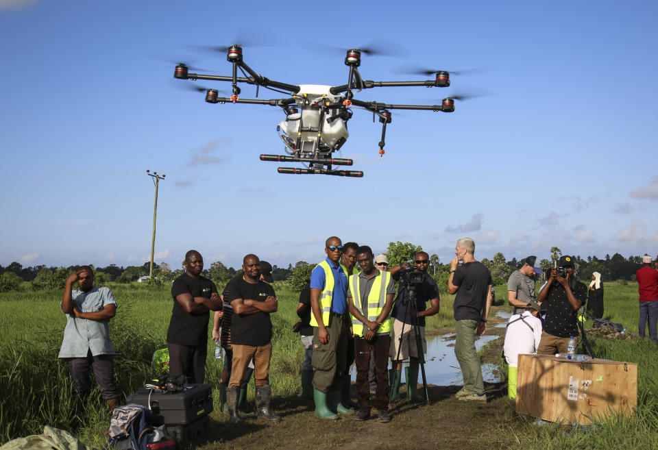 In this photo taken Thursday, Oct. 31, 2019, trainee drone pilots from the State University of Zanzibar learn how to fly a drone to spray the breeding grounds of malaria-carrying mosquitoes, at Cheju paddy farms in the southern Cheju region of the island of Zanzibar, Tanzania. Drones spraying a silicone-based liquid that spreads across the large expanses of stagnant water where malaria-carrying mosquitoes lay their eggs, are being tested to help fight the disease on the island of Zanzibar, off the coast of Tanzania. (AP Photo/Haroub Hussein)