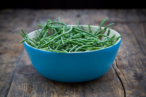 During the warmer months there is sea purslane, sea aster and plump stalks of bright green samphire to be picked - Credit: GETTY