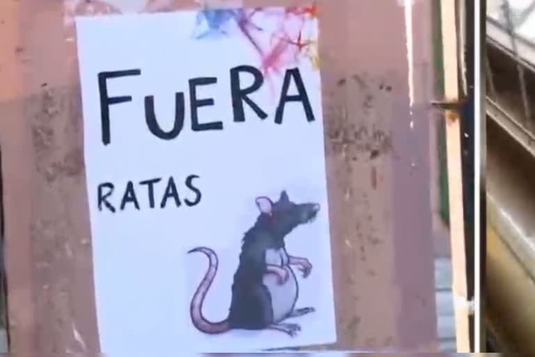 La escuela cuenta con presencia de roedores (Captura video Telefe)