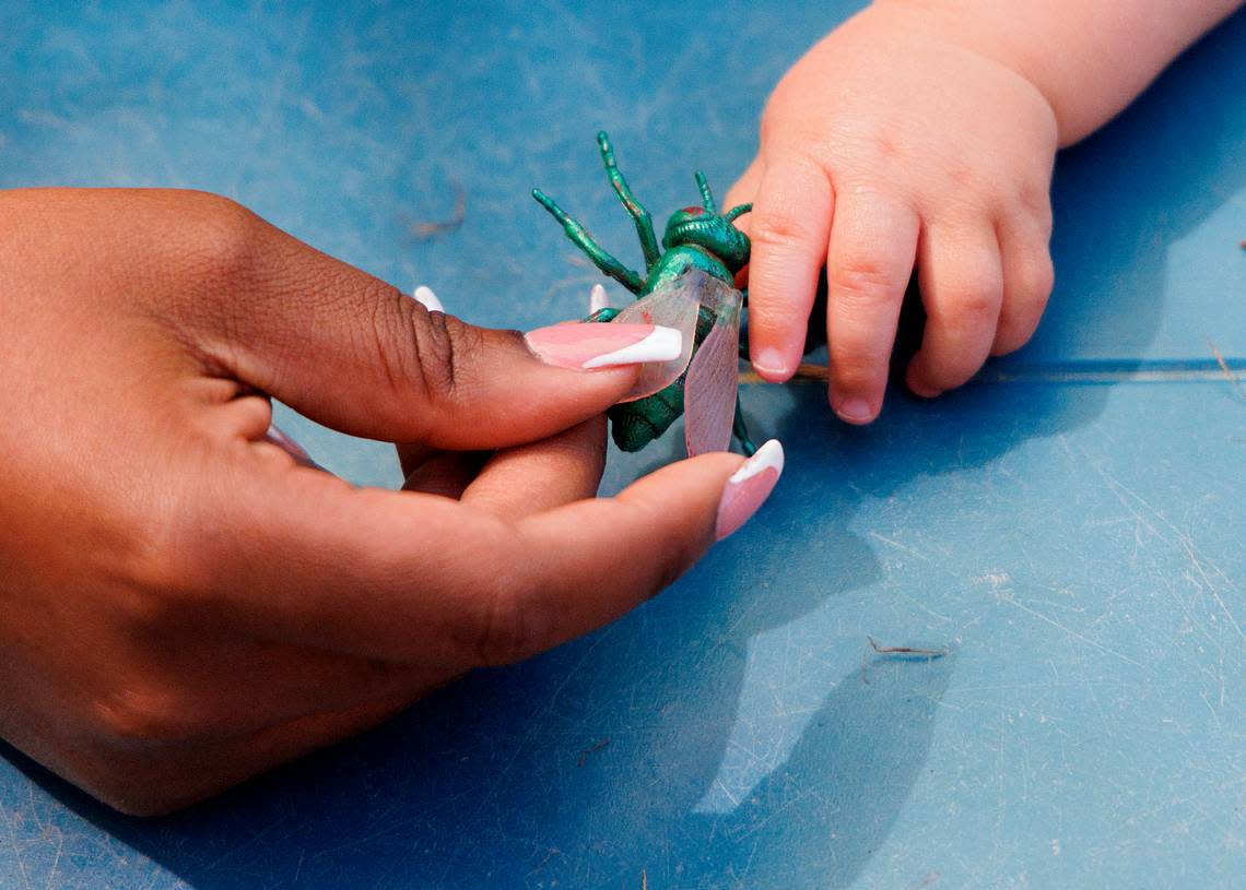 Senani Watson, a teacher at the Little School of Hillsborough, shows a toy insect to a student on Thursday, April 18, 2024, in Hillsborough, N.C.
