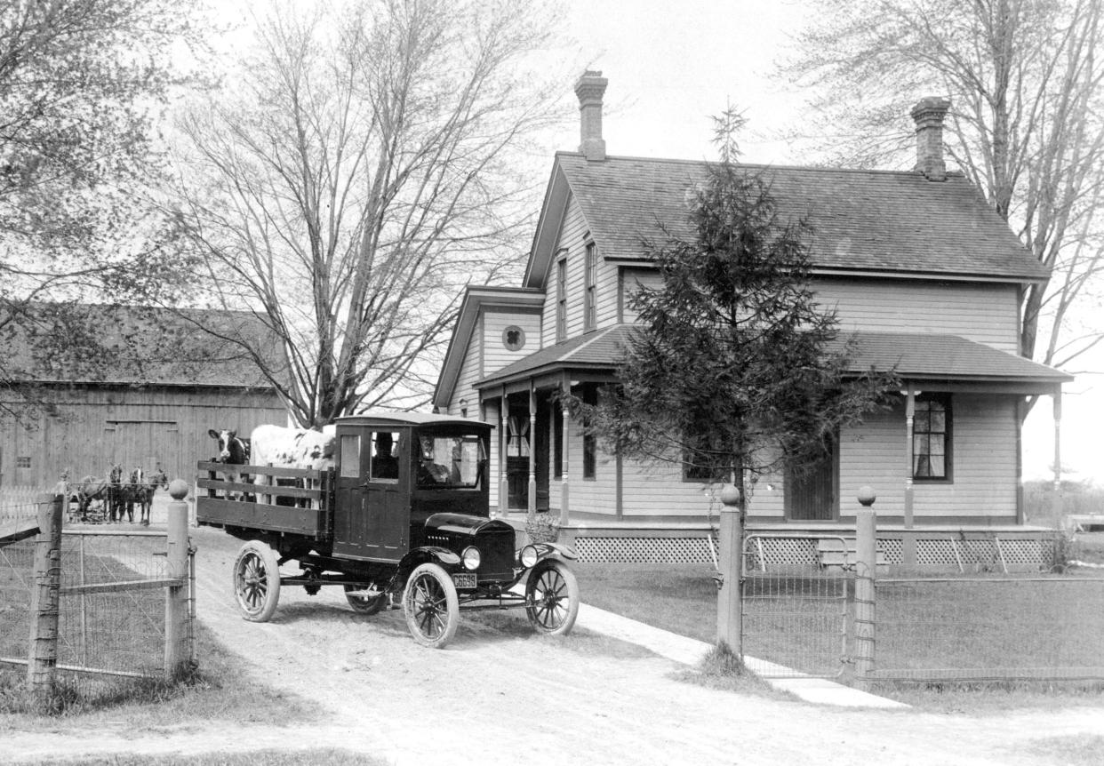 Model T hauling cows: Perhaps the greatest accomplishment of the Model T was to liberate the farmer from many of his hardships. 