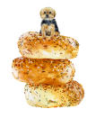 <p>“If a painting of a pup sitting on a stack of, say, pancakes, is missing from a pet lover's life, artist Meryl Rowin of YayPaperCo has you covered. Her custom portraits of pets on food are hilarious, memorable, and very unique. I got one for my mom a few years ago of our dog Whiz on bagels.” </p> <p><strong>Buy It!</strong> Custom pet portrait, $150 and up; <a href="https://www.awin1.com/cread.php?awinmid=6220&awinaffid=272513&clickref=PEONataliePortmanSharesHerTopGiftPicksForEveryoneOnYourListFromPetstoFashionistashchubbHomGal12392887202011I&p=https%3A%2F%2Fwww.etsy.com%2Flisting%2F286353985%2F8x10-custom-pet-portrait-on-food%3Fref%3Dshop_home_active_3" rel="sponsored noopener" target="_blank" data-ylk="slk:yaypaperco.etsy.com;elm:context_link;itc:0;sec:content-canvas" class="link ">yaypaperco.etsy.com</a></p>
