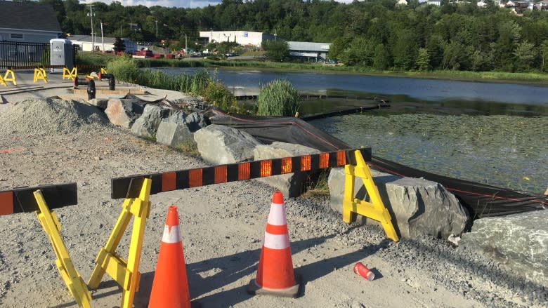 Turtle breeding site becomes construction zone in Dartmouth