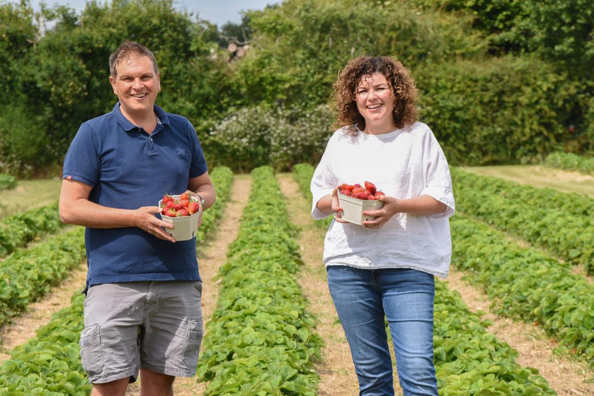 Siblings Jim and Rebecca McLauchlan at McLauchlans of Boxted <i>(Image: Charlotte Bond)</i>