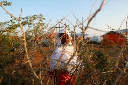 Zeinab, 14, (L) collects a chewing stick from a tree to be used to brush her teeth at a camp for internally displaced people from drought hit areas in Dollow, Somalia April 4, 2017. REUTERS/Zohra Bensemra