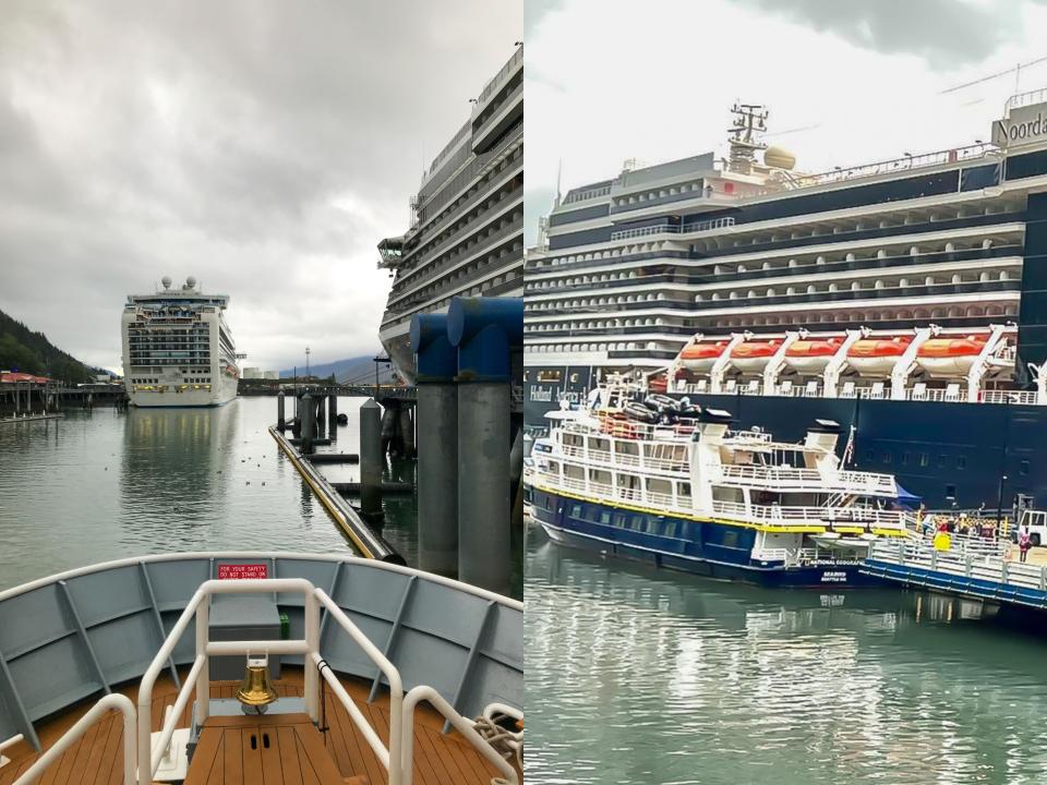 Docked in Juneau, the National Geographic Sea Lion ship appears small in comparison to other major cruise lines.