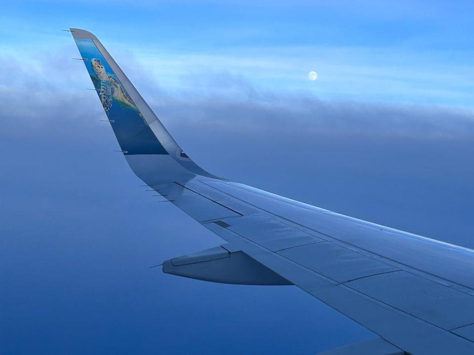 The wing of a Frontier plane with a sea turtle painted on it.