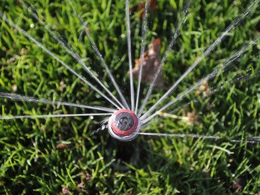 With California amid another severe drought, many people are considering removing their lawns to save water.