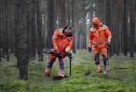 In this Wednesday, Jan. 8, 2020 photo members of a bomb disposal team search for WWII munition in Gruenheide near Berlin, Germany. Tesla CEO Elon Musk said during an awards ceremony in Berlin in November 2019 that 'we have decided to put the Tesla Gigafactory Europe in the Berlin area.' The company will also set up an engineering and design center in Berlin, Musk said. He wrote on Twitter that the new plant 'will build batteries, powertrains & vehicles, starting with Model Y.' (AP Photo/Michael Sohn)