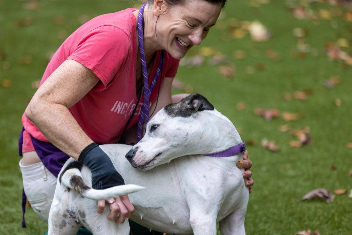 Wake County Animal Center volunteer Natalie Macpherson plays with Kai. a Terrier mix, on Wednesday, November 2, 2022 in Raleigh, N.C.