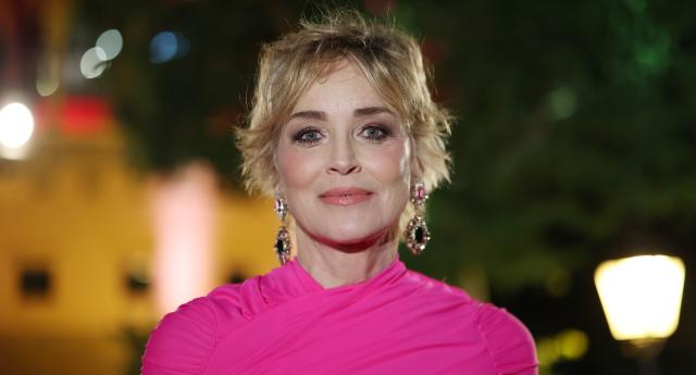 Sharon Stone says some former co-stars were 'misogynistic'