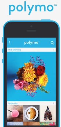 Polymo screenshot