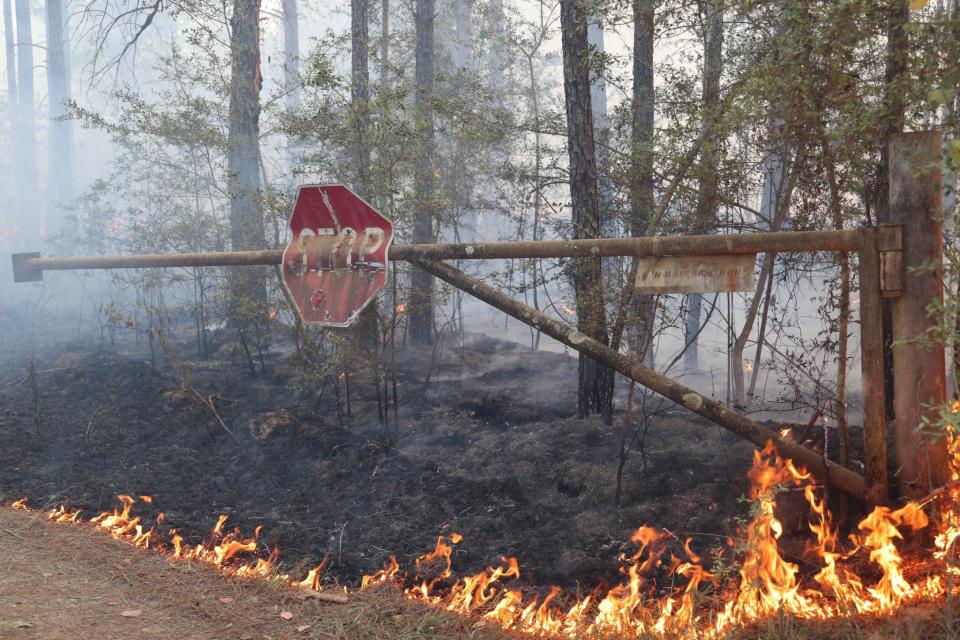 The Tiger Island Fire in Louisiana has burned more than 30,000 acres.